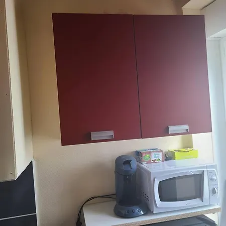 Pres Du Jardin Des Explorateurs Apartment Brest